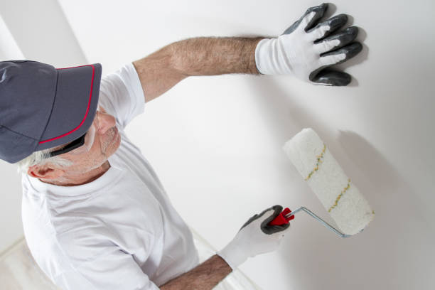 Biohazard Mold Removal in Henderson, TN