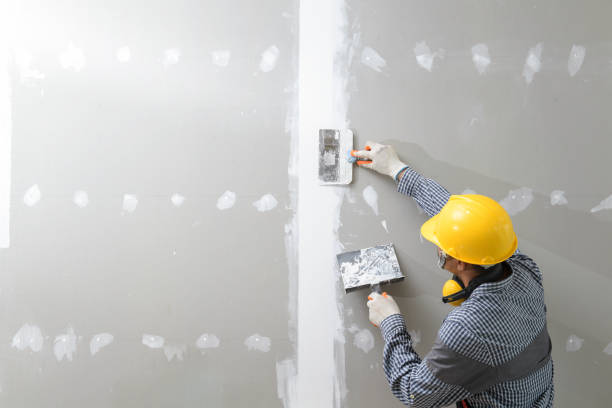 Trusted Henderson, TN Mold Removal Experts