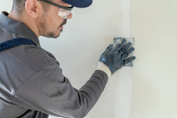 Best Commercial Mold Inspection  in Henderson, TN