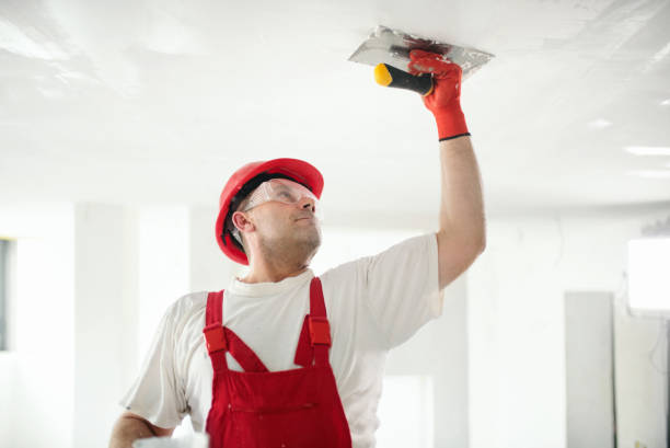 Best Comprehensive Air Testing for Mold Contaminants  in Henderson, TN