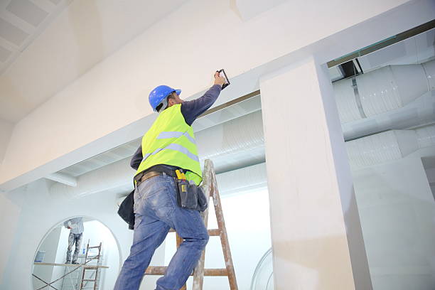 Best Real Estate Mold Inspection  in Henderson, TN