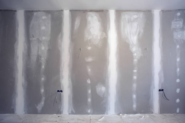 Best Biohazard Mold Removal  in Henderson, TN