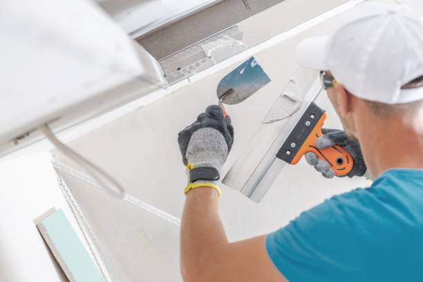Best Residential Mold Inspection & Testing  in Henderson, TN